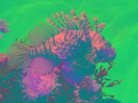 IMGP2857 edited (Medium)